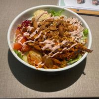   at Katzentempel - Freiburg in Freiburg