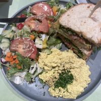   at Katzentempel - Freiburg in Freiburg