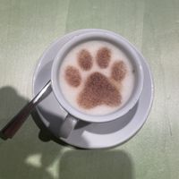   at Katzentempel - Freiburg in Freiburg