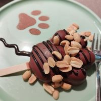  at Katzentempel - Freiburg in Freiburg