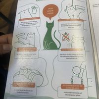   at Katzentempel - Freiburg in Freiburg