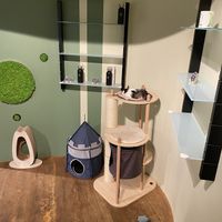   at Katzentempel - Freiburg in Freiburg