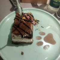  at Katzentempel - Freiburg in Freiburg