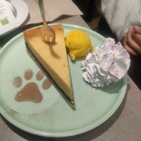  at Katzentempel - Freiburg in Freiburg