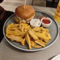  at Katzentempel - Freiburg in Freiburg