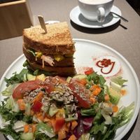   at Katzentempel - Freiburg in Freiburg