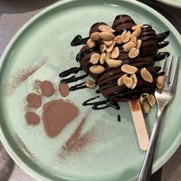 Kein-Snickers-Pfote 🐾  at Katzentempel - Freiburg in Freiburg