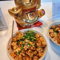 Blessed by a Lucky cat at Tofu Heaven in Rotterdam