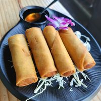 Spring Rolls at Dee Dee Vegan Thai in Portland