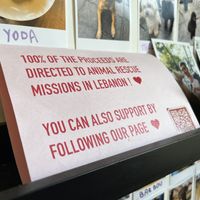 Intérieur   at Stella Specialty Coffee Bar in Brussels