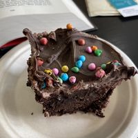 Brownie  at Purrista Cat Cafe in Erie