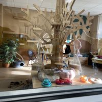 Cat viewing   at Purrista Cat Cafe in Erie