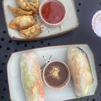 Gyoza und Sommerrollen  at Sushiki-Darmstadt in Darmstadt