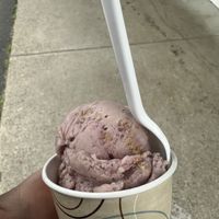 acai berry crumble vegan ice cream  at Moo's Place Homemade Ice Cream in Derry