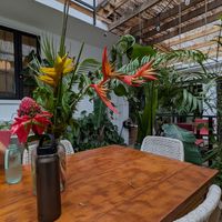  at La Botanica Hotel in San Juan