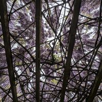  at Vegan Relais Paramita in Pomaia