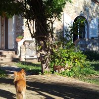  at Vegan Relais Paramita in Pomaia