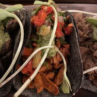   at La Hoja Verde in Tulum