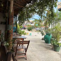   at La Hoja Verde in Tulum