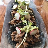 Taco Special of the Day (vegan) at La Hoja Verde in Tulum