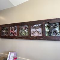 Wall  at Dancing Lion Chocolate in Manchester