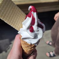 Vegan ice cream with elderflower and berries sauce! at The Secret Garden Cafe in Cardiff