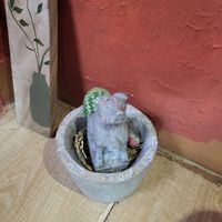  at Mây Vegan - Cùng mình ăn chay in Hanoi