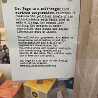 About the collective at Dr. Pogo in Berlin