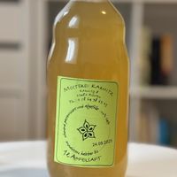   at Dr. Pogo in Berlin