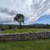  at Pant Du Vineyard and Cafe in Caernarfon