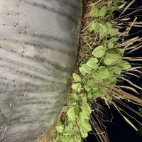 Front of the building!  at Hum Vegetarian - District 3 in Ho Chi Minh City