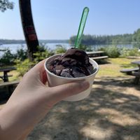Blueberry vegan ice cream and chocolate shell  at Bresca & the Honey Bee in New Gloucester