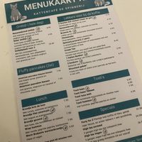   at Kattencafé De Spinnerij in Tilburg