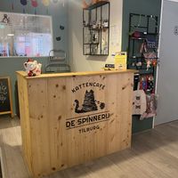   at Kattencafé De Spinnerij in Tilburg
