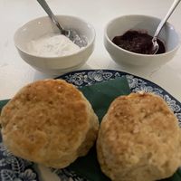   at Kattencafé De Spinnerij in Tilburg