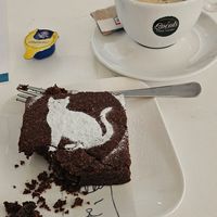  at Kattencafé De Spinnerij in Tilburg