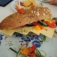  at Kattencafé De Spinnerij in Tilburg