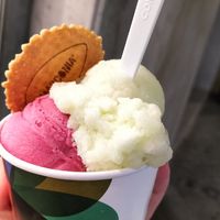 Mojito y sorbete de sandía at La Marconia Jijonenca in Sant Feliu De Guixols