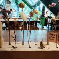  at Fort de Gagel in Utrecht