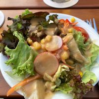 Beilagensalat mit veganem Dressing  at Klosterwirt Schönbrunn in Roehrmoos