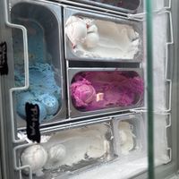 A few of the vegan options   at 183 Grados  in Bayamon