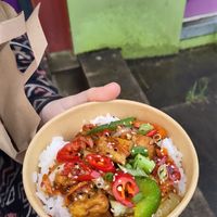 Salt chilli tofu and boiled rice at Kanto - Stranmillis in Belfast