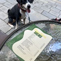   at VegaNana in Bratislava