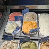  at Frisquet in Montreal