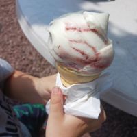 V.Berry ice cream at 32 Below Ice Cream Shop in Lititz