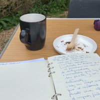 Lovely location, great atmosphere. The garden is perfect to connect with nature while enjoying your coffee. at Southlands Community Cafe in West Drayton