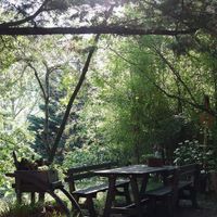  at Il Giardino degli Alberi Maestri in Bettola