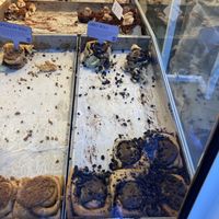   at Cinnamood in Frankfurt