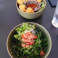  at Project Vegan in Koblenz