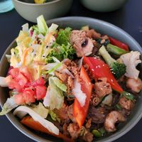  at Project Vegan in Koblenz